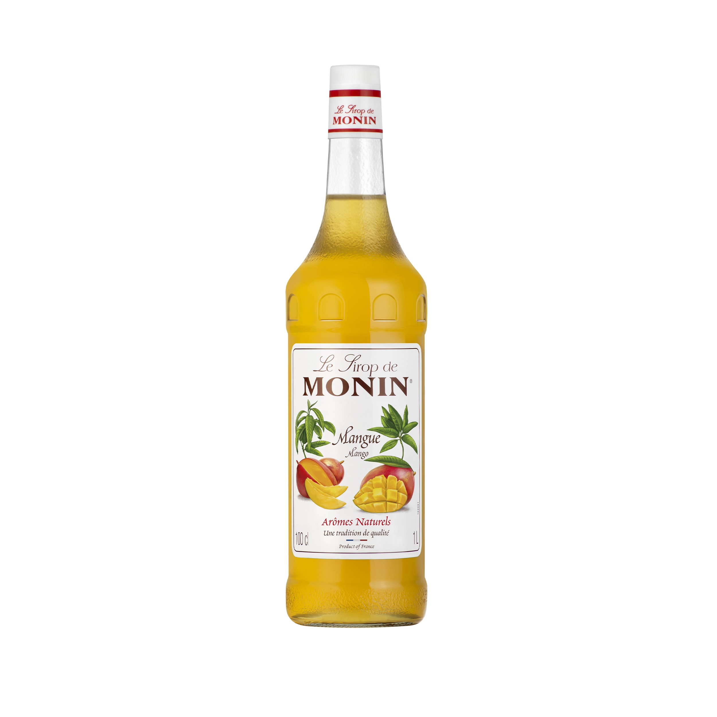 Mango Syrup 1 L 